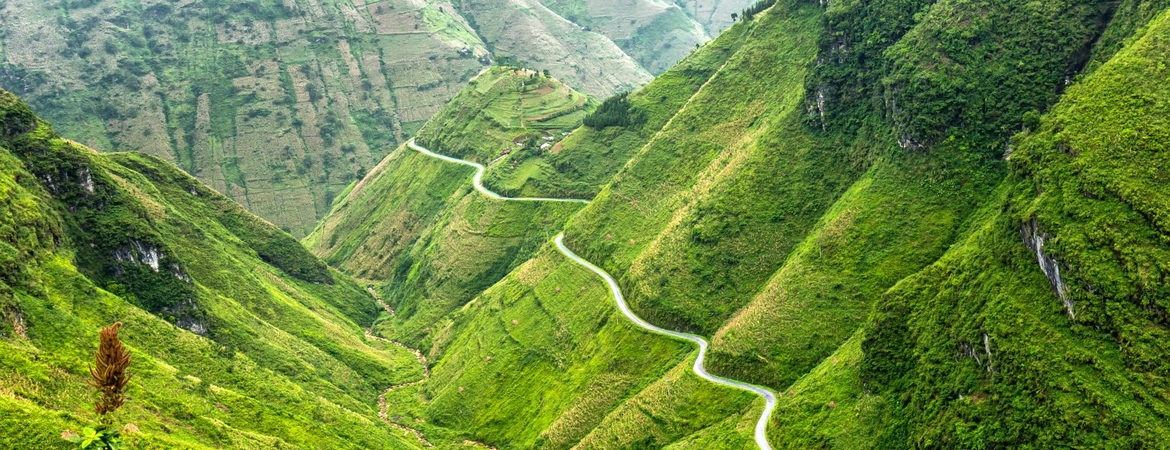 Best Time to Visit Ha Giang: Unforgettable Experiences in the Northern Vietnam's Hidden Gem