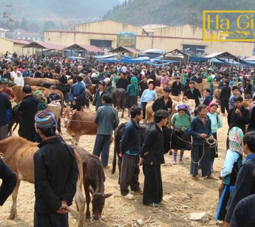5 Must-Visit Ethnic Markets in Ha Giang You Should Know