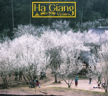 Planning a Trip? Check Out Ha Giang Weather Month by Month