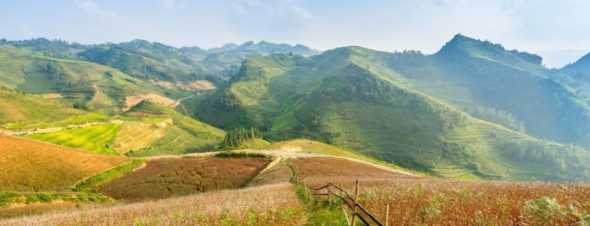 Best Time to Do Ha Giang Loop for Stunning Scenery and Safe Rides