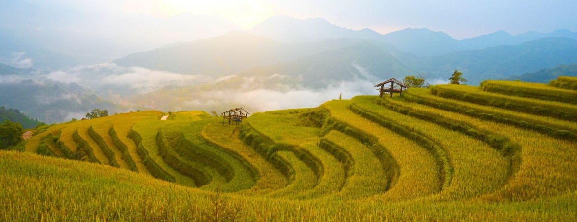Hoàng Su Phì: The Valley of Terraces and Authentic Culture
