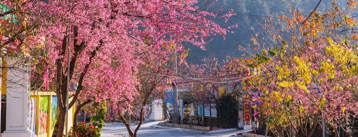 Vietnamese Souvenirs in Ha Giang You Can’t Get Anywhere Else