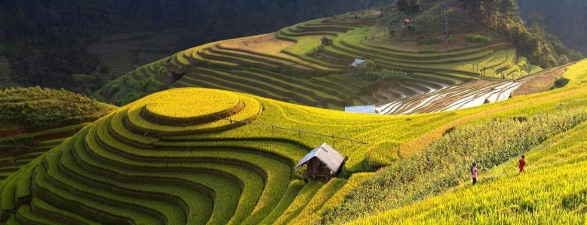 Thắng Cố - The Iconic Horse Meat Stew of Ha Giang