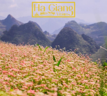 Ha Giang in November: Misty Roads and Mountain Dreams