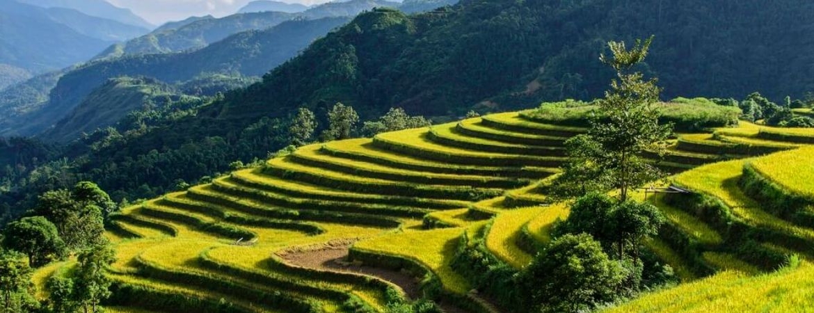 Sa Phin Market: Real Mountain Culture in Motion
