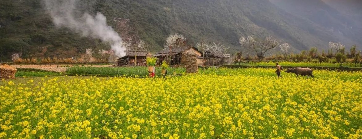 Long Tong Festival – A Colorful Celebration of Harvest and Heritage