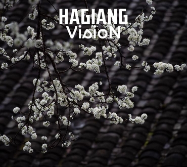 Ha Giang in March: A Blooming Adventure Worth Every Mile