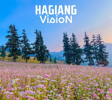 Top 3 Flower Seasons in Ha Giang with Best Timing Guide