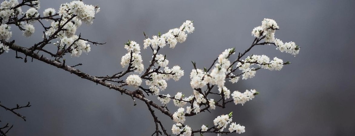 Nam Dam Village: A Hidden Sanctuary in the Heart of the Rocky Plateau