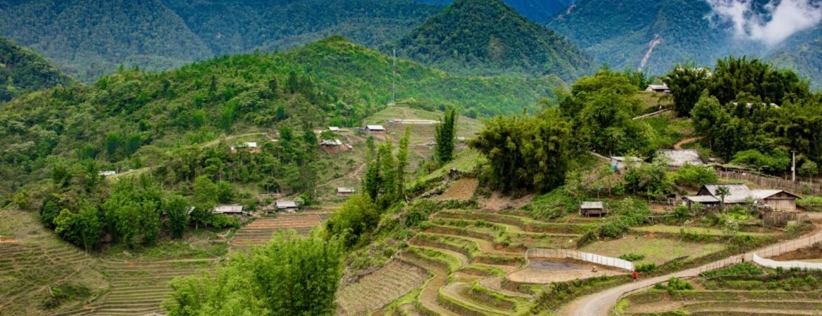 Thon Tha Village: The Whispering Palms of Ha Giang