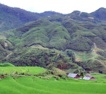 Thon Tha Village: The Whispering Palms of Ha Giang
