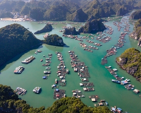 CAT BA : 2 DAYS 1 NIGHTS LAN HA BAY