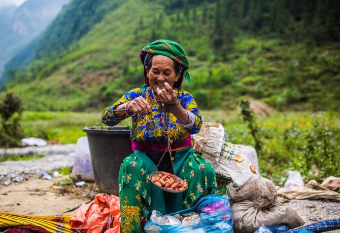 Observe the vibrant life of the local