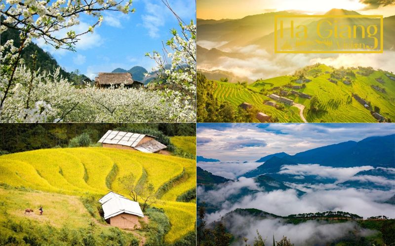 Each season in Ha Giang paints a unique and unforgettable travel experience.