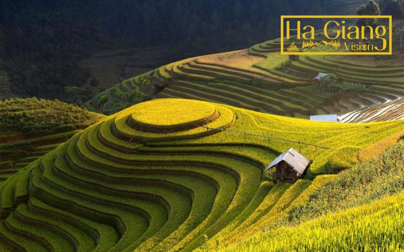 Engaging in the Ha Giang Loop will help you reveal stunning towering cliffs, deep valleys, and emerald rivers.