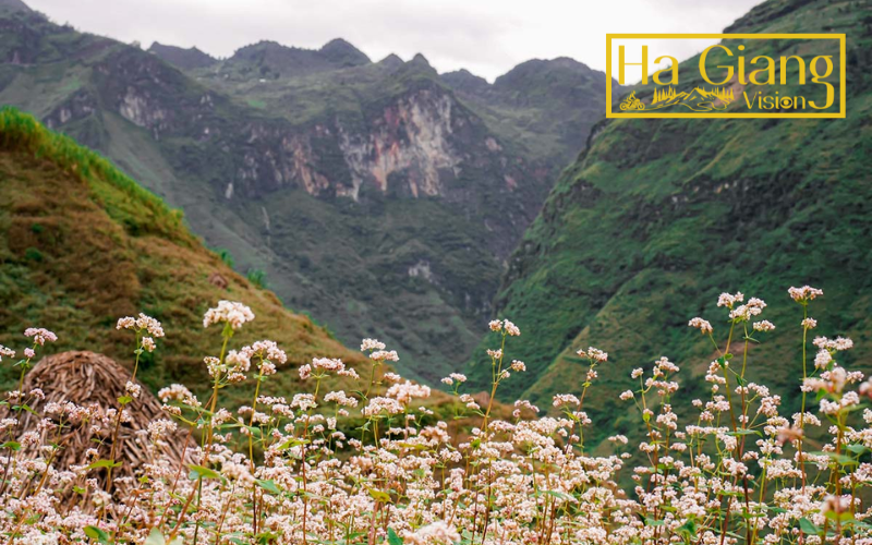 A 3-day Ha Giang Loop private tour balances adventure and time.