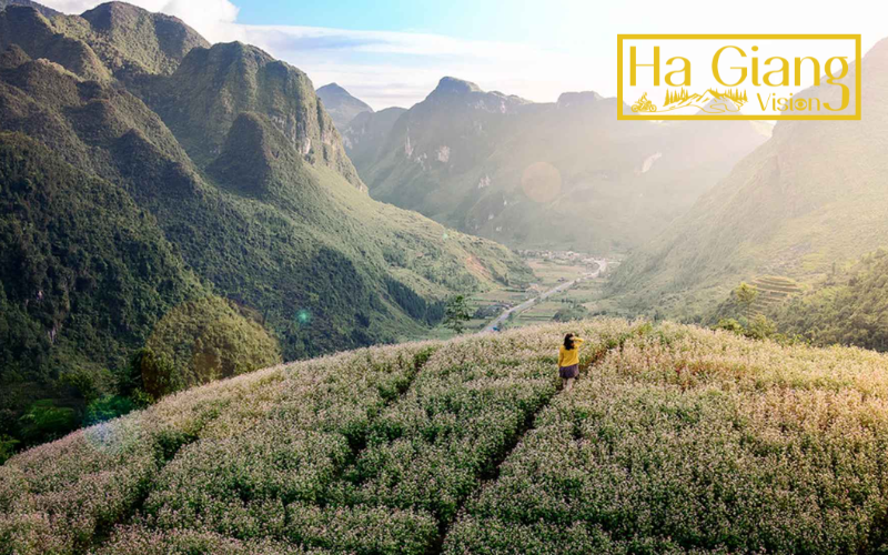 Sung La is among Ha Giang tourist attractions famed for flowers.
