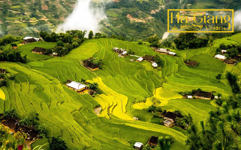 Vietnam Ha Giang’s Hoang Su Phi is famed for terraced rice fields.