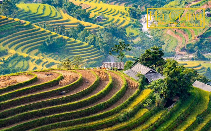 Du Gia is a peaceful Ha Giang Loop village with rice fields.
