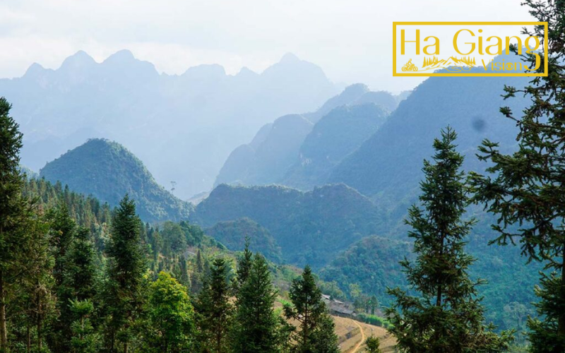 Yen Minh is a classic Ha Giang Loop overnight town surrounded by pines.