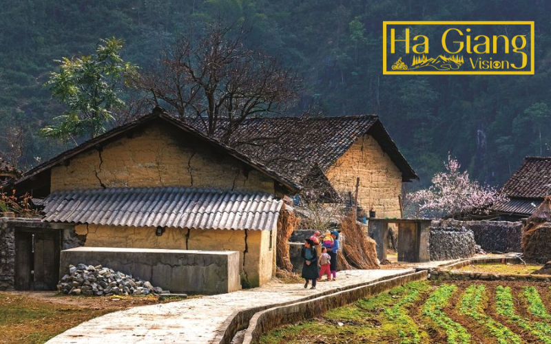Architecture highlights Ha Giang culture through unique homes of ethnic minorities.