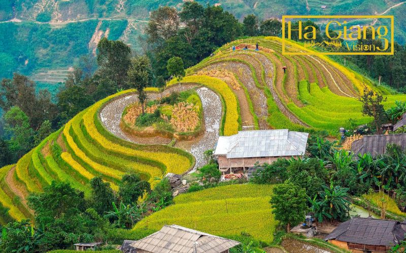 Ha Giang weather in August remains humid but beautifully green and vibrant.