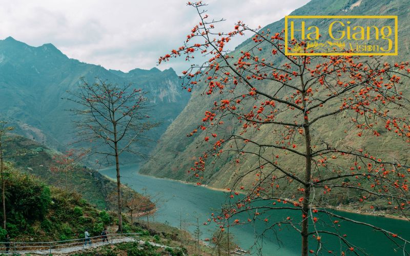 Ha Giang weather in March features blossoming landscapes and mild breezes.