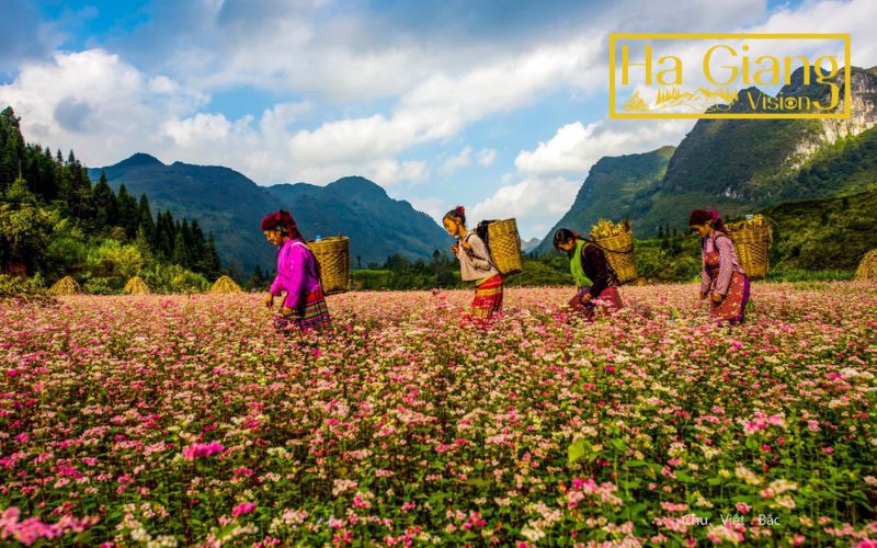 Ha Giang weather in October is dry, clear, and perfect for trekking.