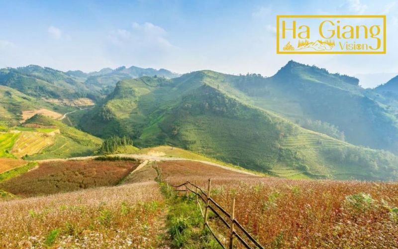 Many travelers say autumn is the best time to do Ha Giang Loop.