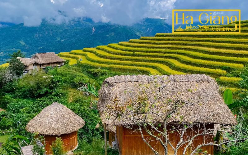 Nậm Hồng village in Hoàng Su Phì is known for tea and hospitality.