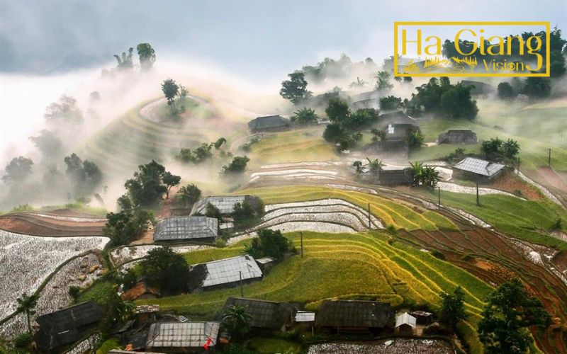 The best time to visit Hoàng Su Phì is during harvest season.