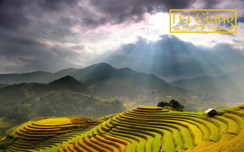 The terraced fields in Hoàng Su Phì are masterpieces of mountain culture.