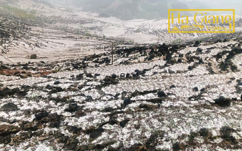 Winter may not be the best time to do Ha Giang Loop, yet peaceful.