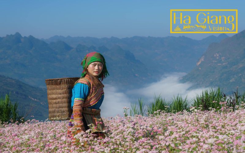 The buckwheat flower improves soil, supports bees, and sustains mountain farming.
