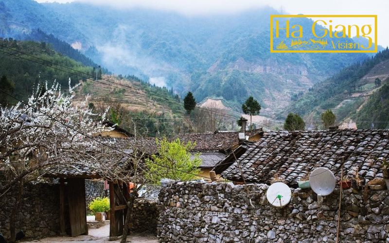 Explore the Hmong settlements scattered across Ha Giang’s highlands.
