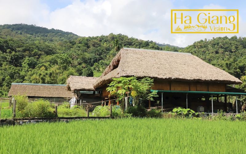 Tay stilt houses reflect harmony, simplicity, and connection with the land.