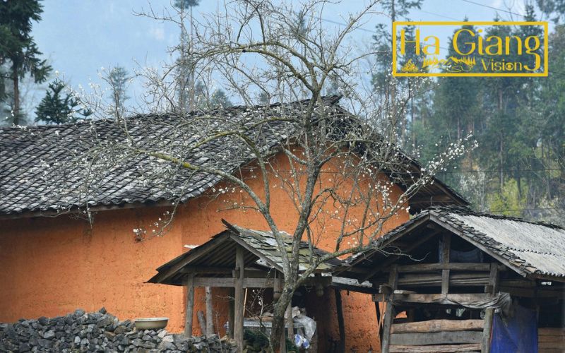 Ha Giang in December offers serene villages and retro winter charm.