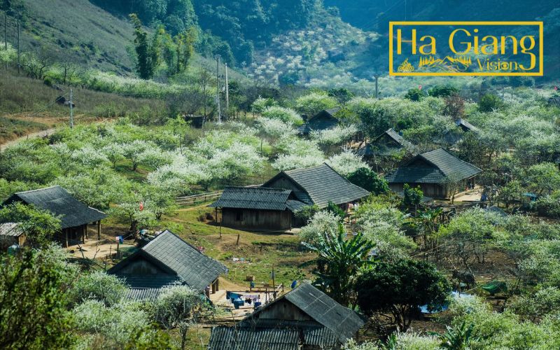 One of the peaceful hidden villages in Ha Giang, Phiêng Luông radiates pure mountain calm.