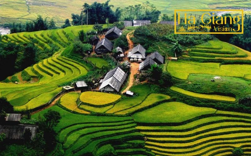 Tả Phìn stands out among Ha Giang’s hidden villages for its vibrant Dao culture and herbal traditions.