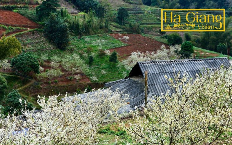 Ha Giang in November brings cool air and clear skies.