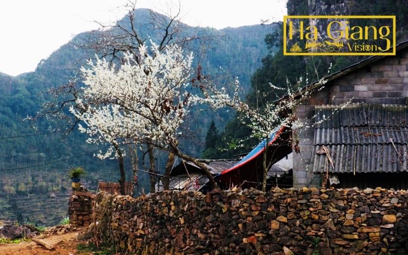 The ethnic village combines silver craft traditions with spectacular mountain vistas.