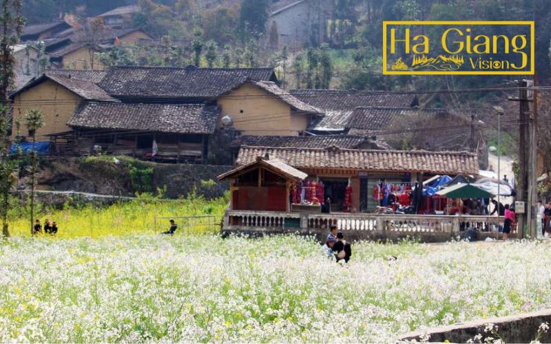 The ethnic village features buckwheat fields and authentic H’Mong cultural traditions.