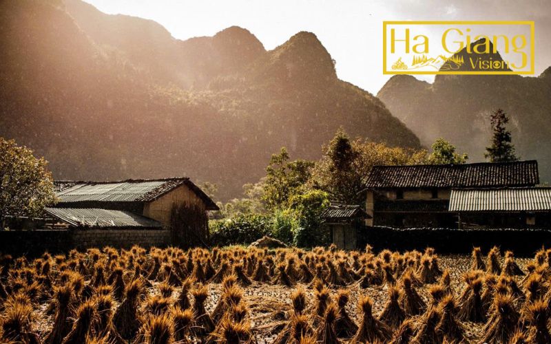 This ethnic village reflects timeless H’Mong architecture and quiet highland charm.