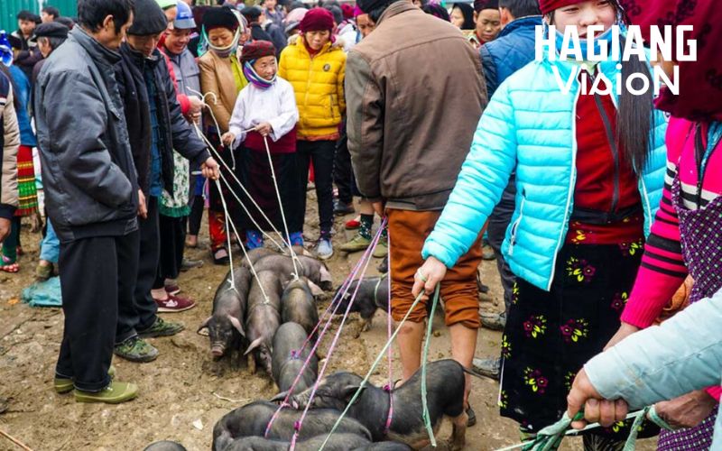 Dong Van Makret includes an energetic livestock zone essential for livelihoods.