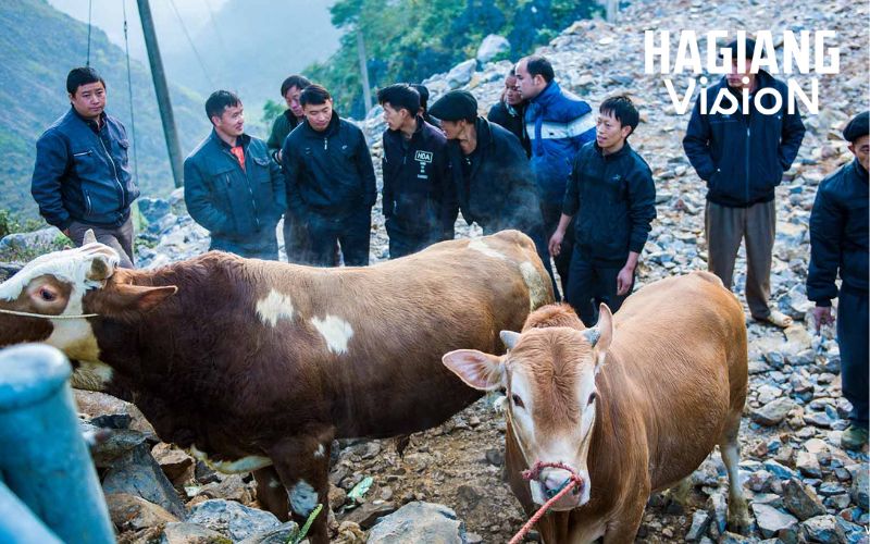 Sa Phin Market includes a lively livestock zone filled with rural energy.