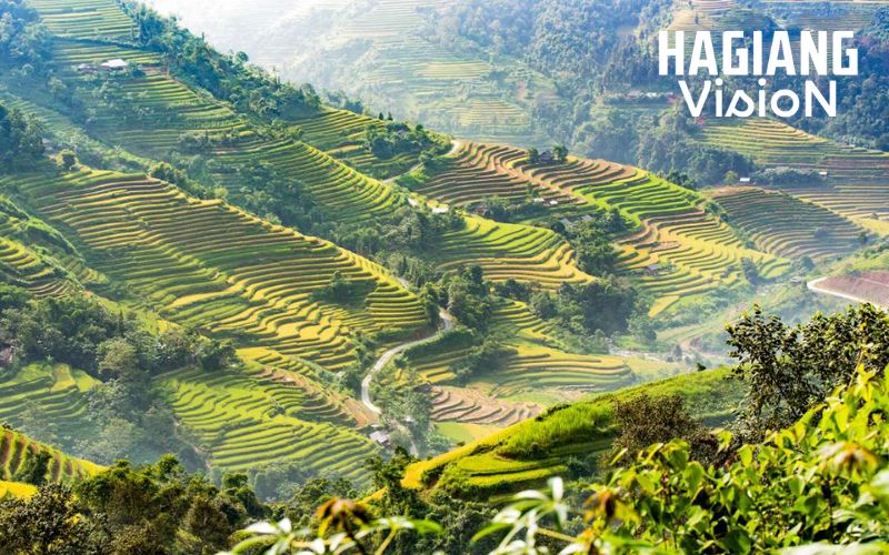 Hoang Su Phi Market sits among cinematic rice terraces and misty peaks.
