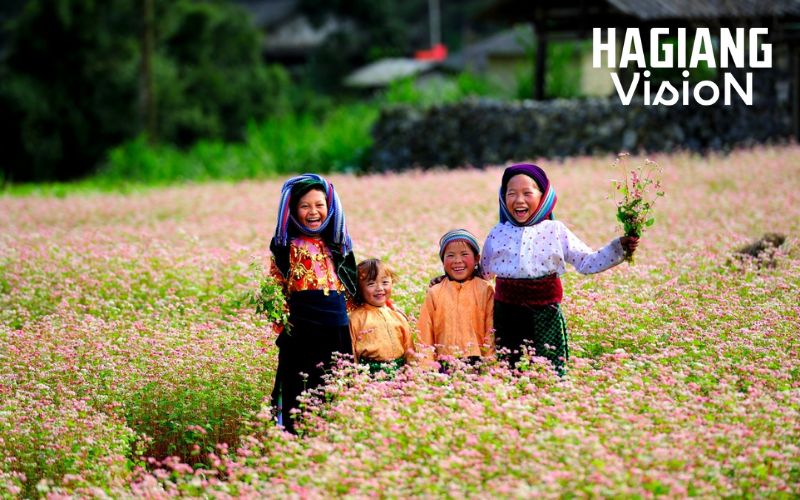 Ha Giang’s Buckwheat Flower Festival showcases culture, scenery, and seasonal beauty.