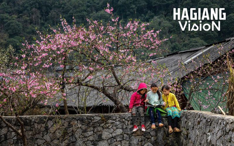 Ha Giang during Lunar New Year feels magical and calm.