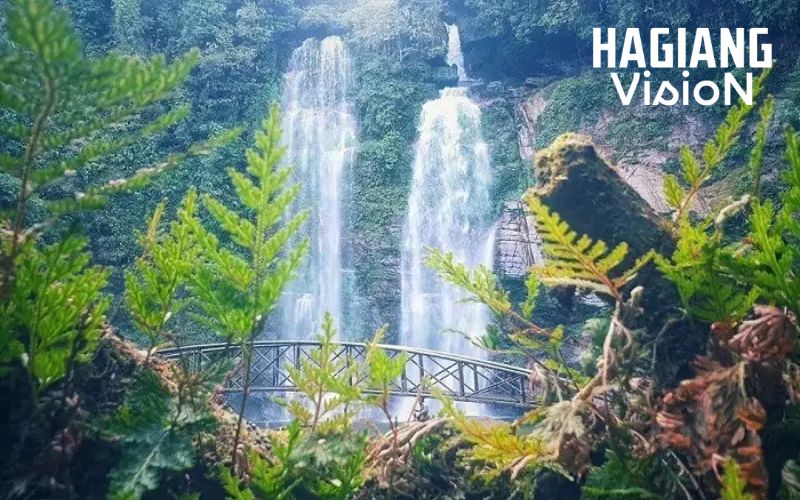 Ha Giang Waterfalls such as Thi remain hidden inside primary forest