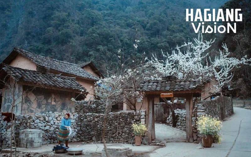 Dong Van Old Town preserves history through architecture and local lifestyle